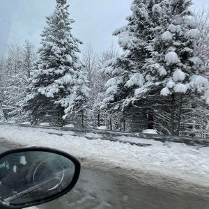 Meet your Posher, Ella